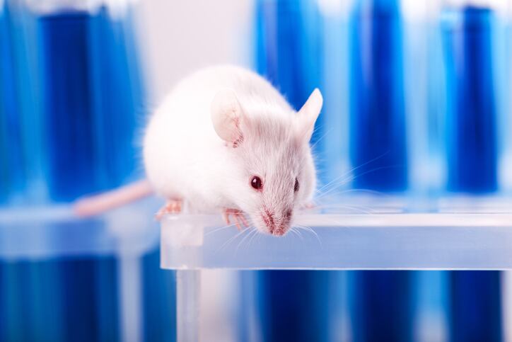 Animal-testing-in-EU-declining-cosmetics-must-share-in-vitro-methods.jpg