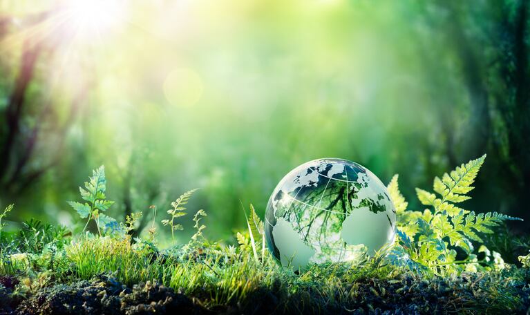 Important and meaningful: Cargill underlines importance of sustainability programmes for consumers