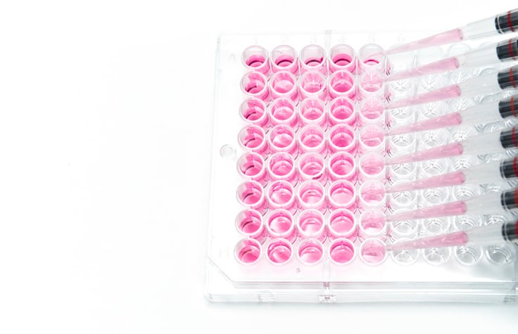 Next-generation-risk-assessment-of-cosmetics-to-be-industry-norm-in-10-years.jpg
