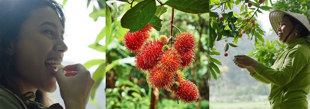 fruits.jpg