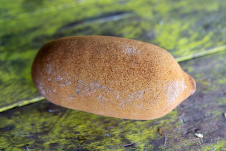 GettyImages-Cupuacu.jpg