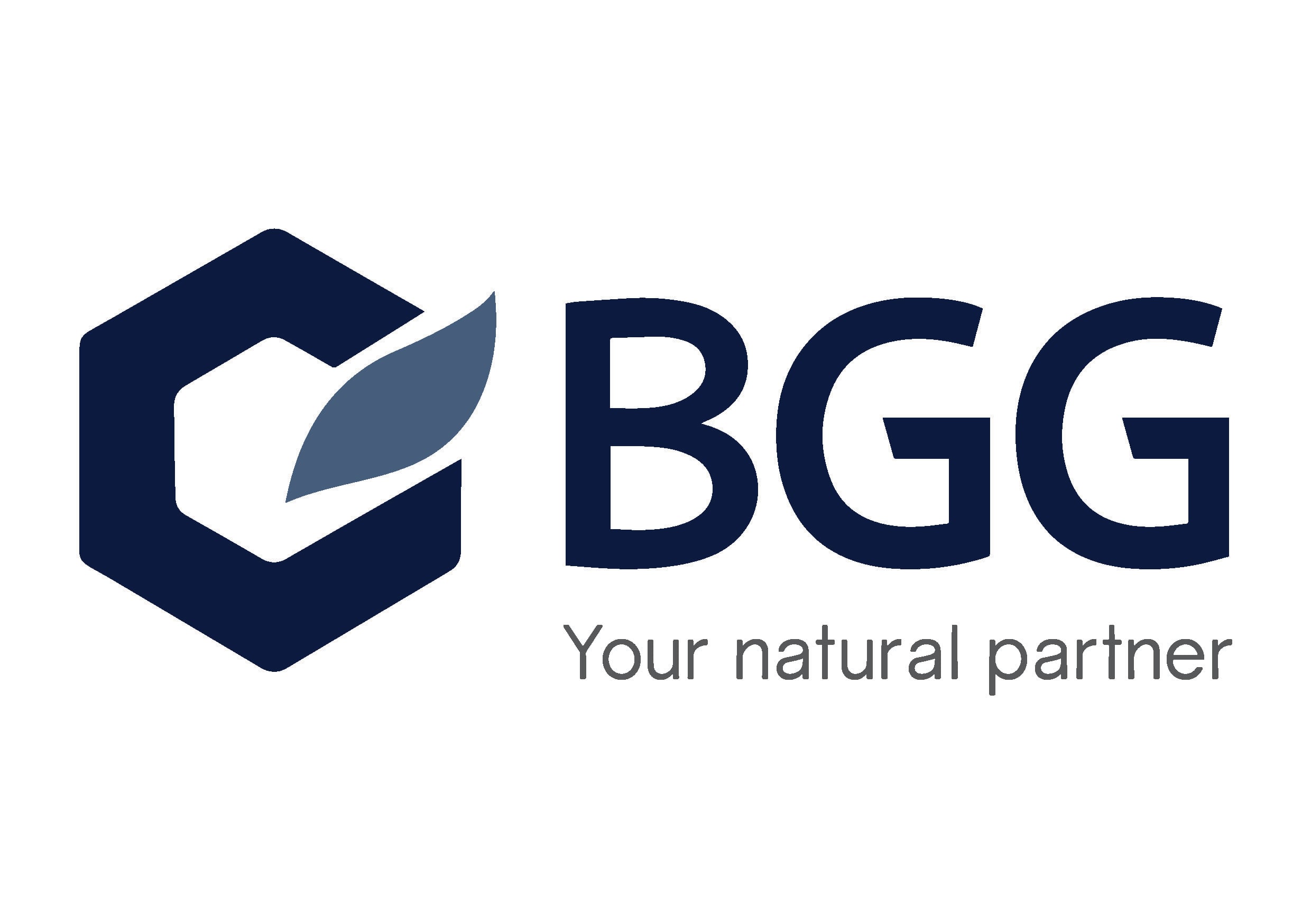 BGG Europe SA