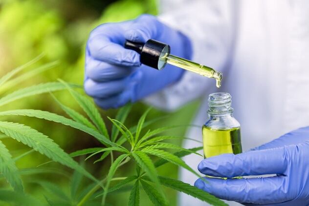 Fragrance-house-IFF-is-developing-CBD-products-for-the-US-market.jpg