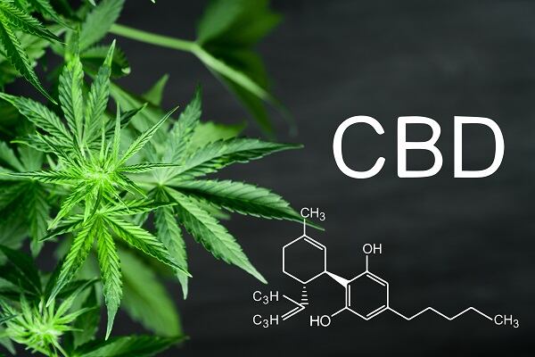 CBD and cosmetics in Austria: What is the legislative environment?