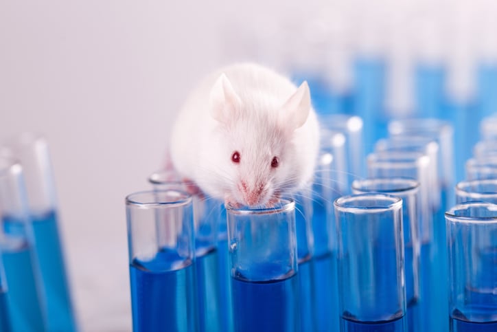 Charity FRAME kickstarts research to gauge understanding on ‘complex issue’ of animal testing