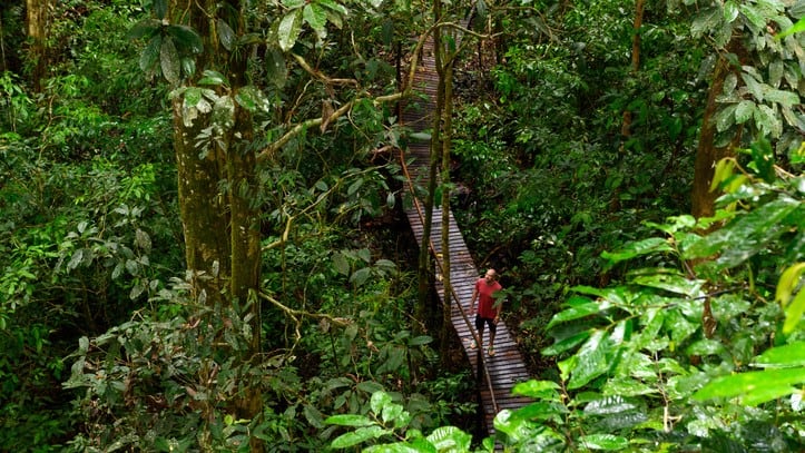 Illipe-Butter-Imperative-to-find-big-beauty-brands-to-support-communities-in-Borneo-Forestwise-CEO.jpg
