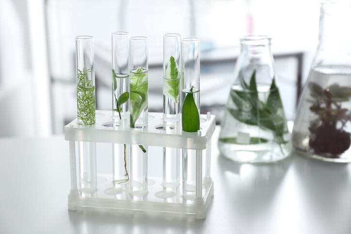 Givaudan-completes-Indena-deal-announces-Alderys-acquisition.jpg