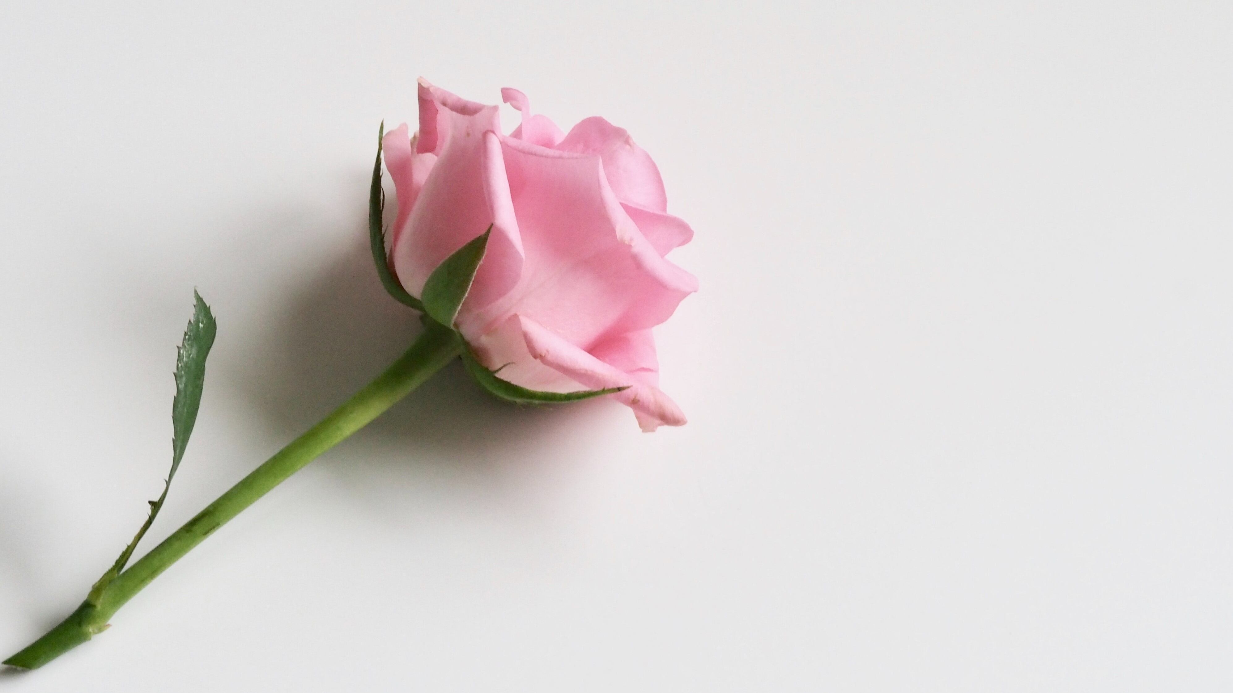 Below the belt: Intimate care transitioning into beauty realm