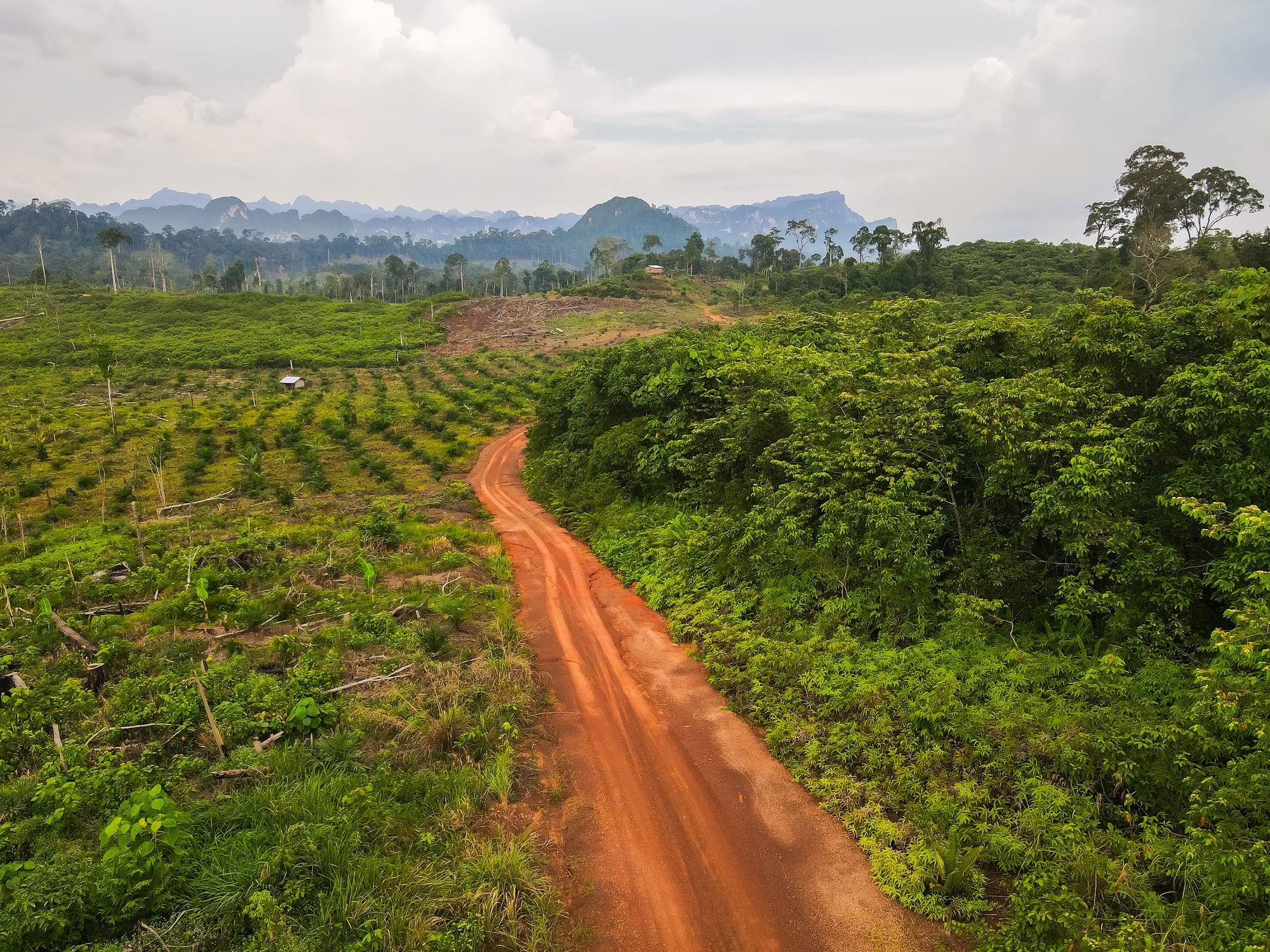 Future beauty packaging