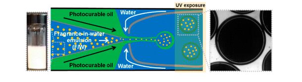 ACS-study-fragrance-molecules-encapsulated.png
