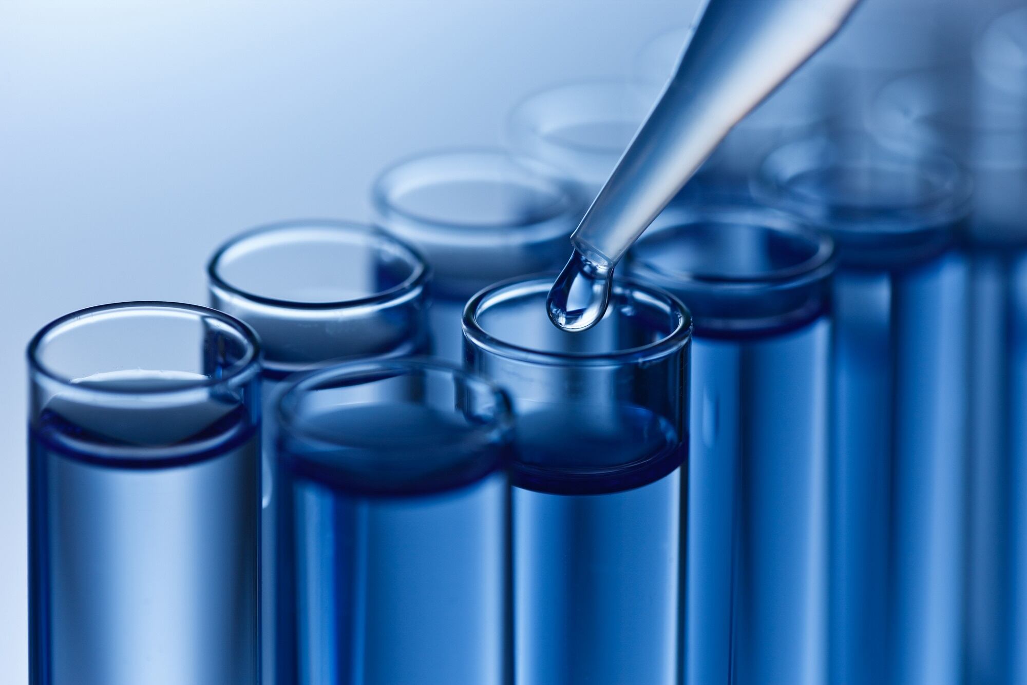 SCC-calls-for-abstract-submission-for-annual-meeting.jpg