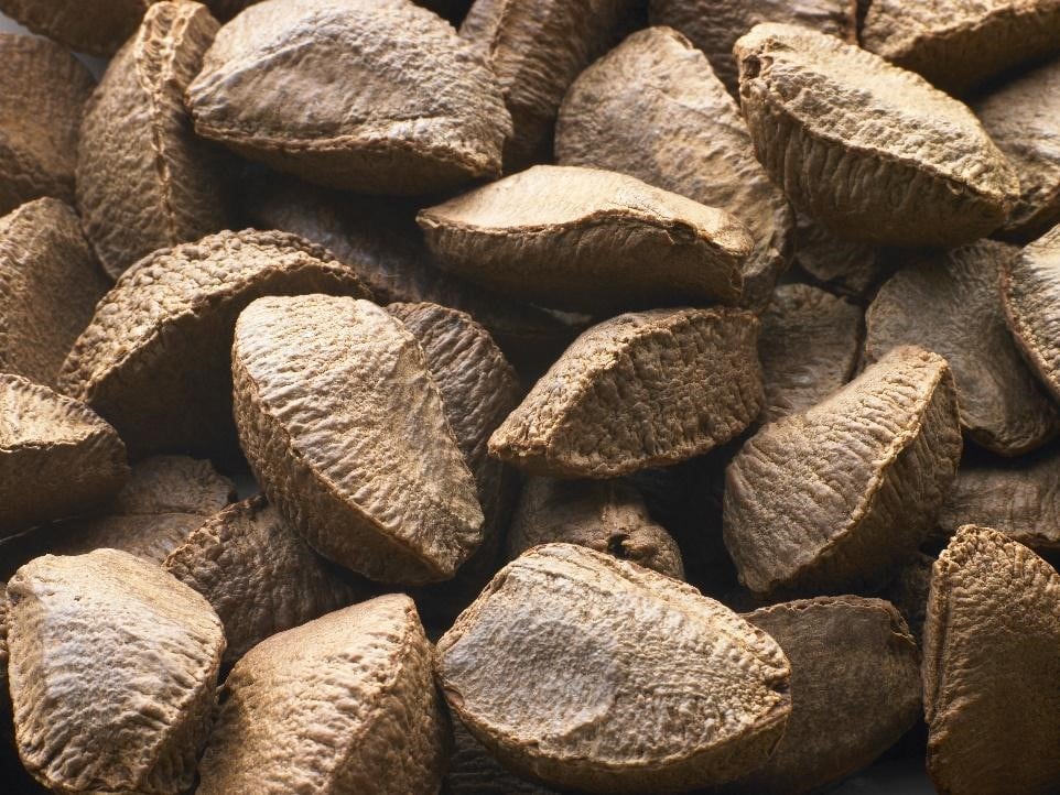 Brazil-nuts.jpg