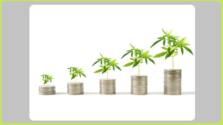 Liht-Cannabis-Corp-relaunching-personal-care-this-month.png
