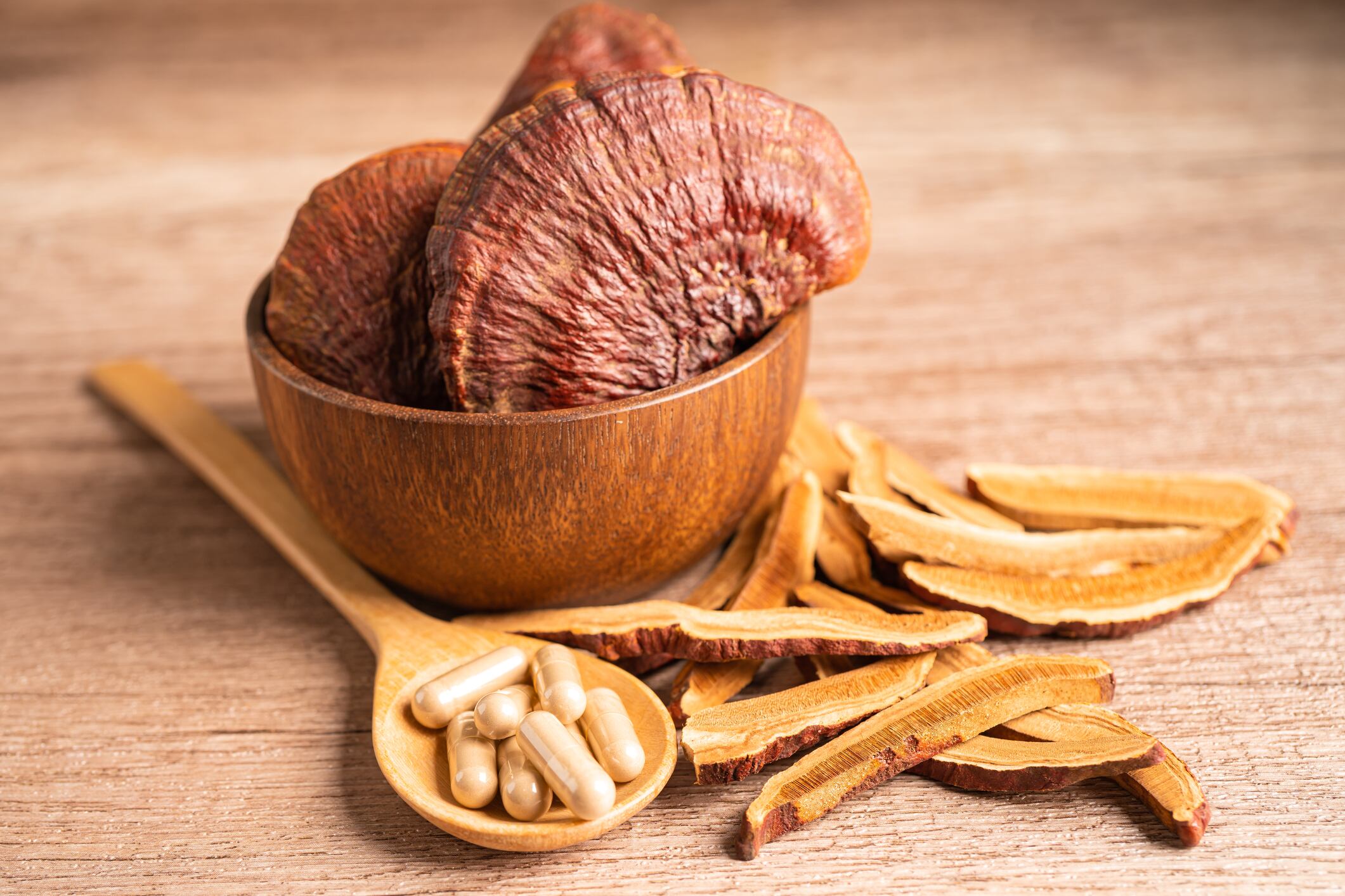 Dried lingzhi mushroom with capsule drug, alternative medicine herbal organic herb.