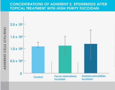 S-epidermidis.jpg