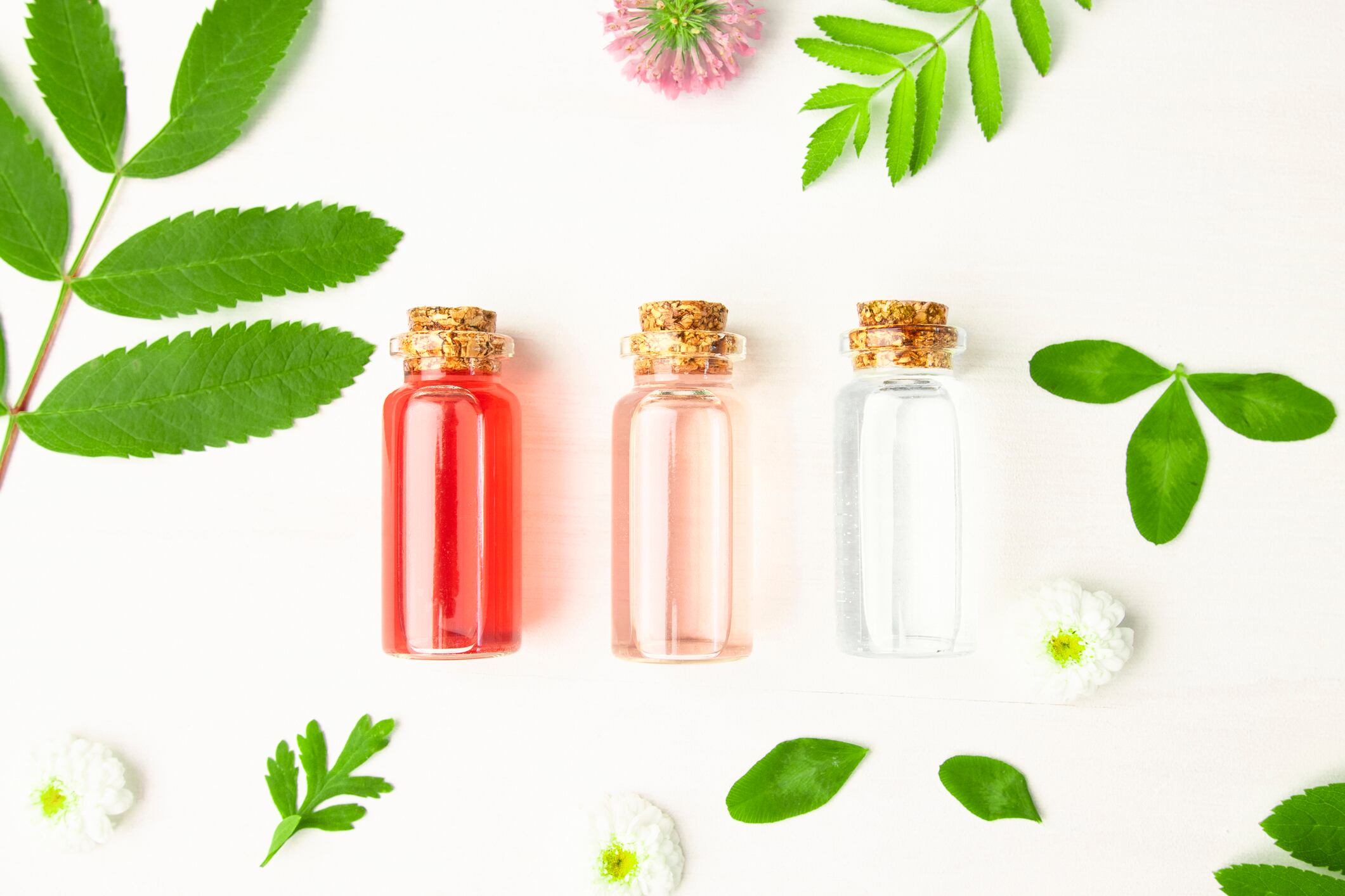 Study shows Triumfetta cordifolia gum has potential as a sustainable emulsion stabiliser