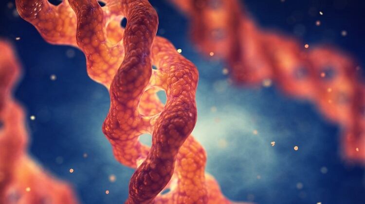 Evonik-has-developed-vegan-biotech-collagen.jpg
