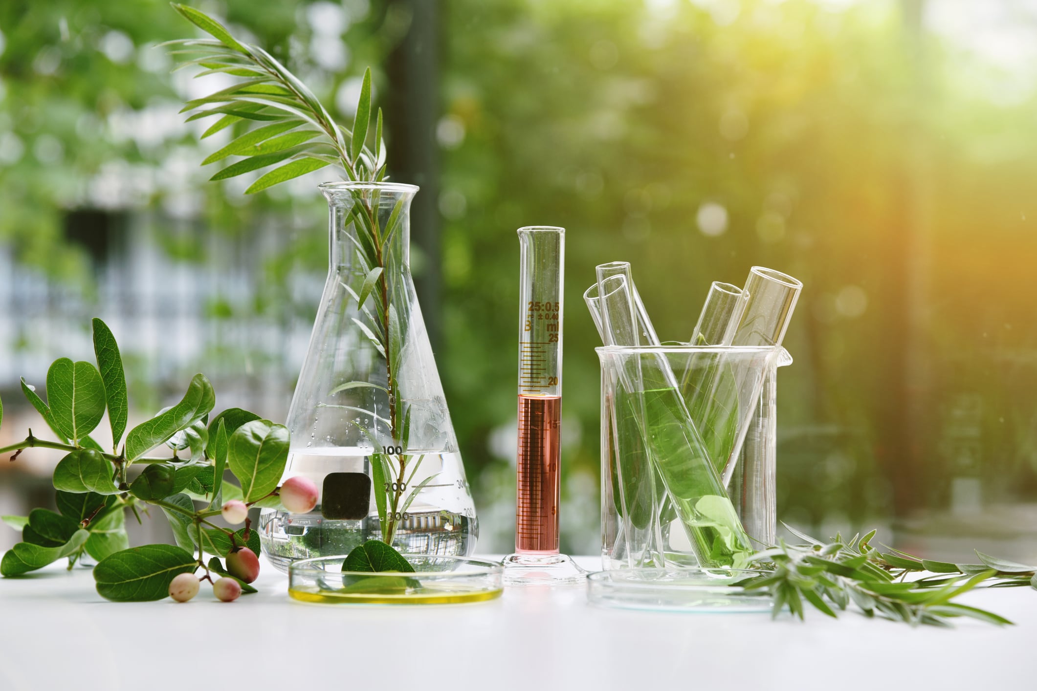 Key cosmetics regulation issues: Q&A with MD of Personal Care Regulatory