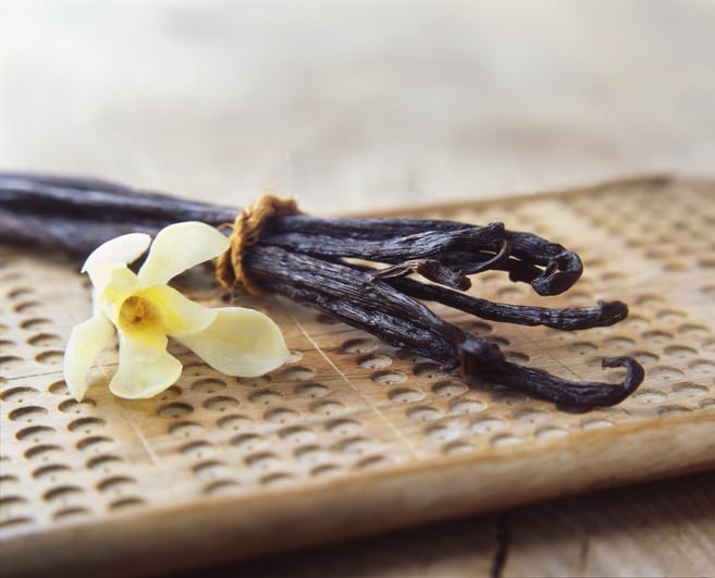 Gourmand fragrance, cosy scent