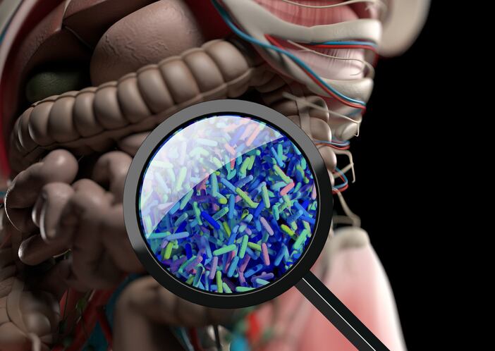 Vitafoods-Biotics-gaining-interest-as-consumers-look-at-health-holistically.jpg