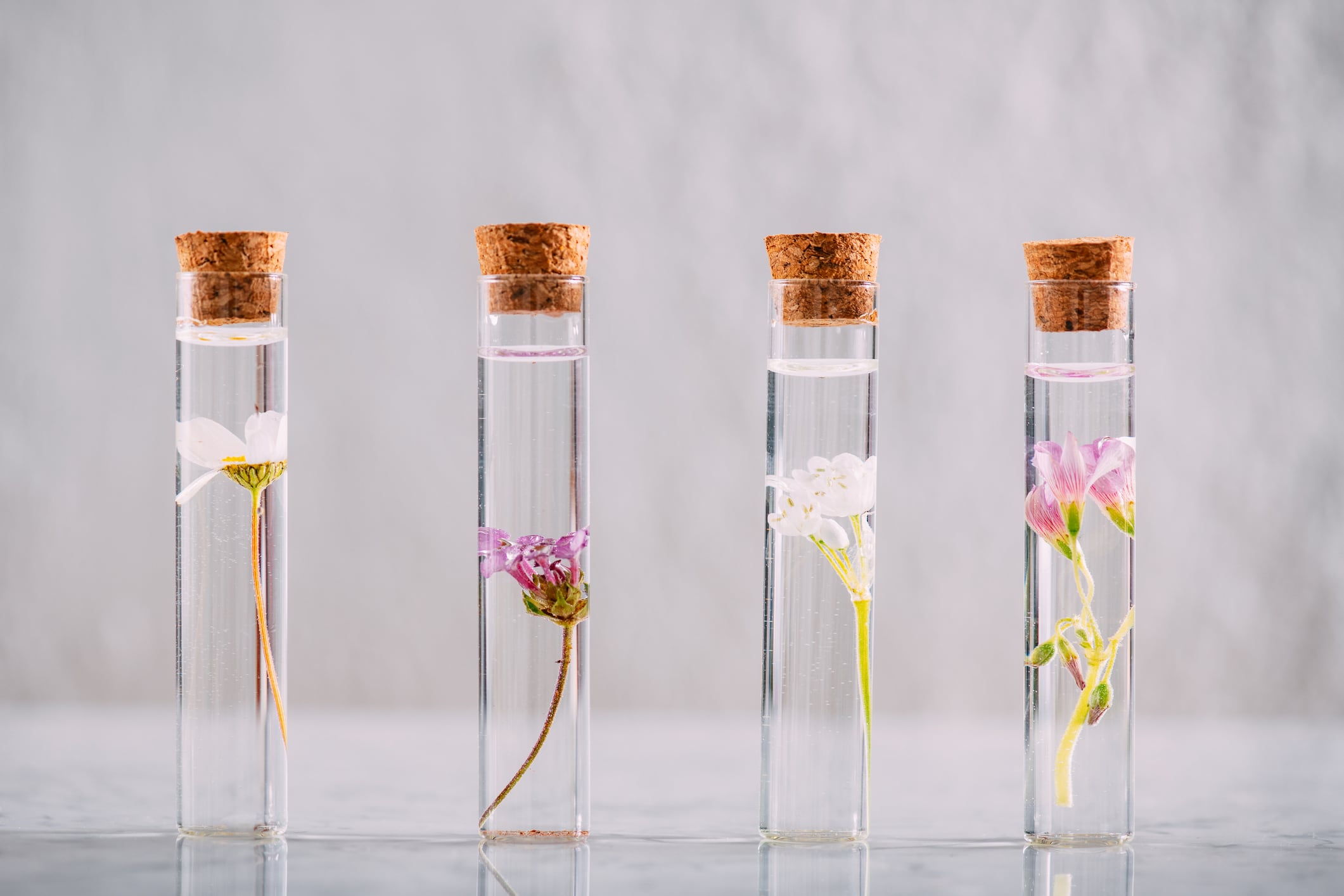 Industry welcomes EU cosmetics regulation simplification amid safety concerns  