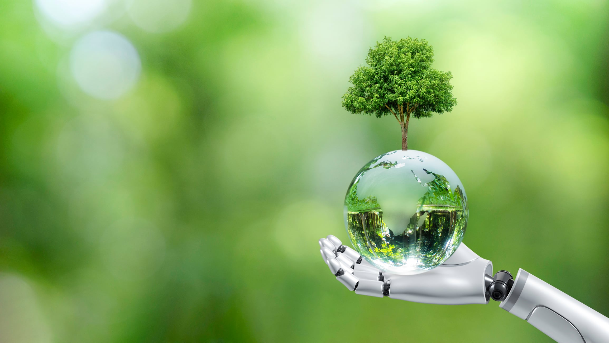 Sustainability and AI