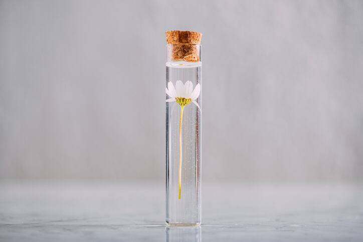 4. Going greener: The Body Shop investing in ‘regenerative’ supply chain innovation