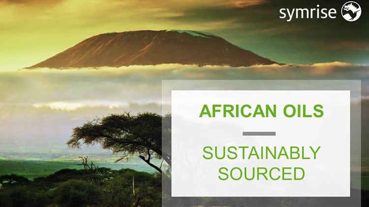 Sustainably-sourced-collection-of-African-Oils.jpg