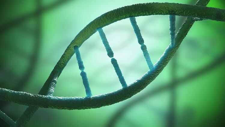 Willow Biosciences Inc. to present CBG data at Society for Investigative Dermatology annual meeting