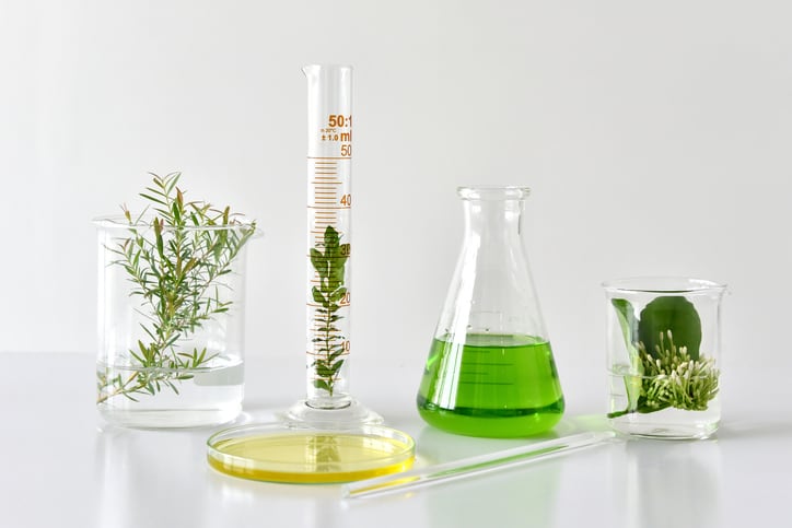 7 sustainable ingredients disrupting cosmetics formulations       