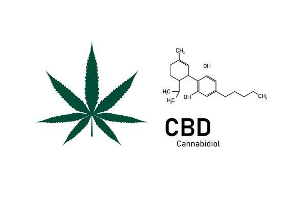 Latin America paves the way for CBD cosmetics