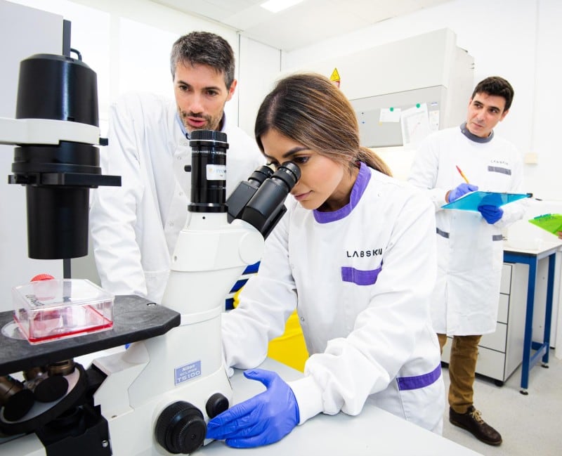 ‘Huge opportunities for research’: Labskin develops pigmented 3D skin model