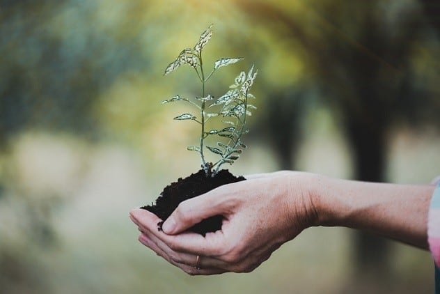 What’s the big fuss about the circular economy?