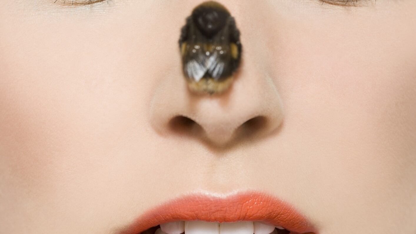 Could more cosmetics be formulated from insects in the future?