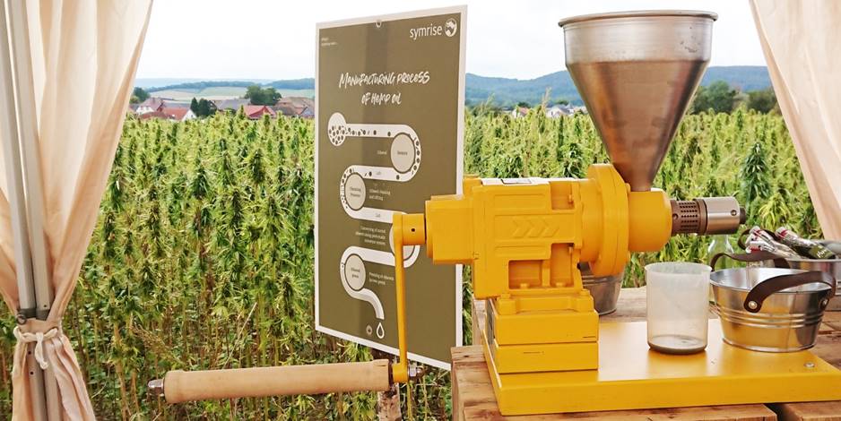 Hemp-Oil-Organic-MULTIMEDIA-2.jpg
