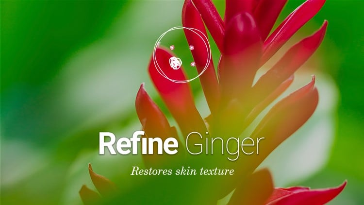 Ginger-active-cells-for-a-skin-retexturation.jpg