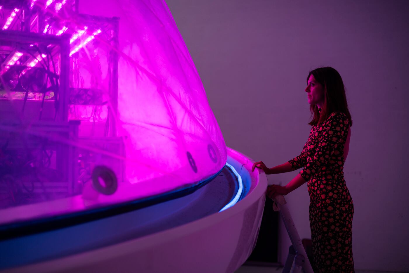 "Potential to revolutionise production of natural ingredients": Interstellar Lab