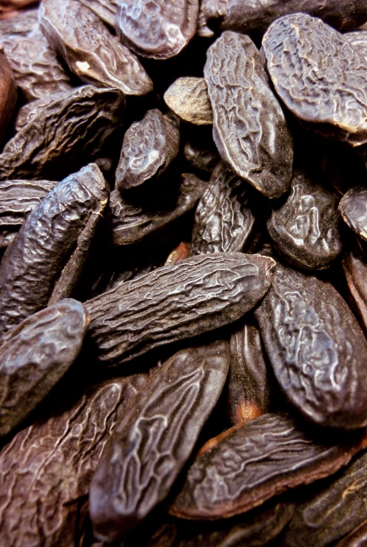 “Demand for naturals increasing,” says IFF with new CO₂‑extracted tonka bean 