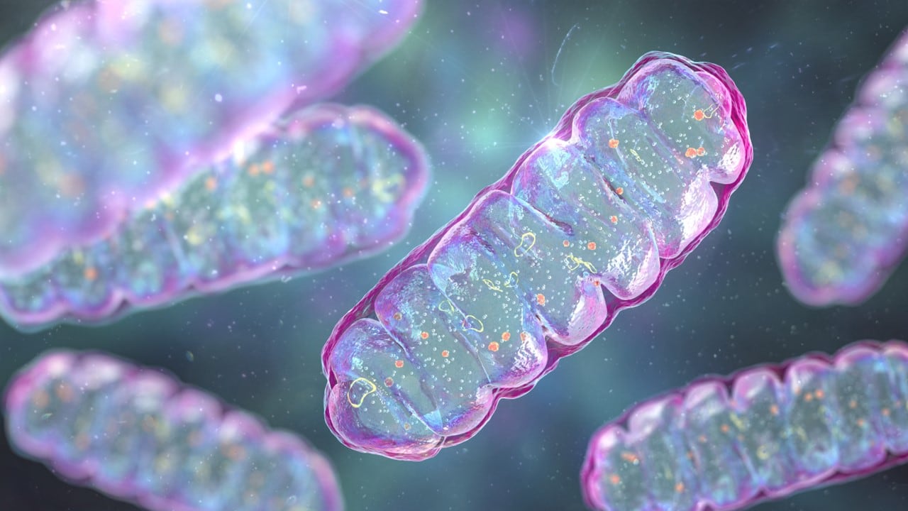 “To recycle and rejuvenate mitochondria”: Longevity takes the spotlight with L'Oréal's investment in Timeline