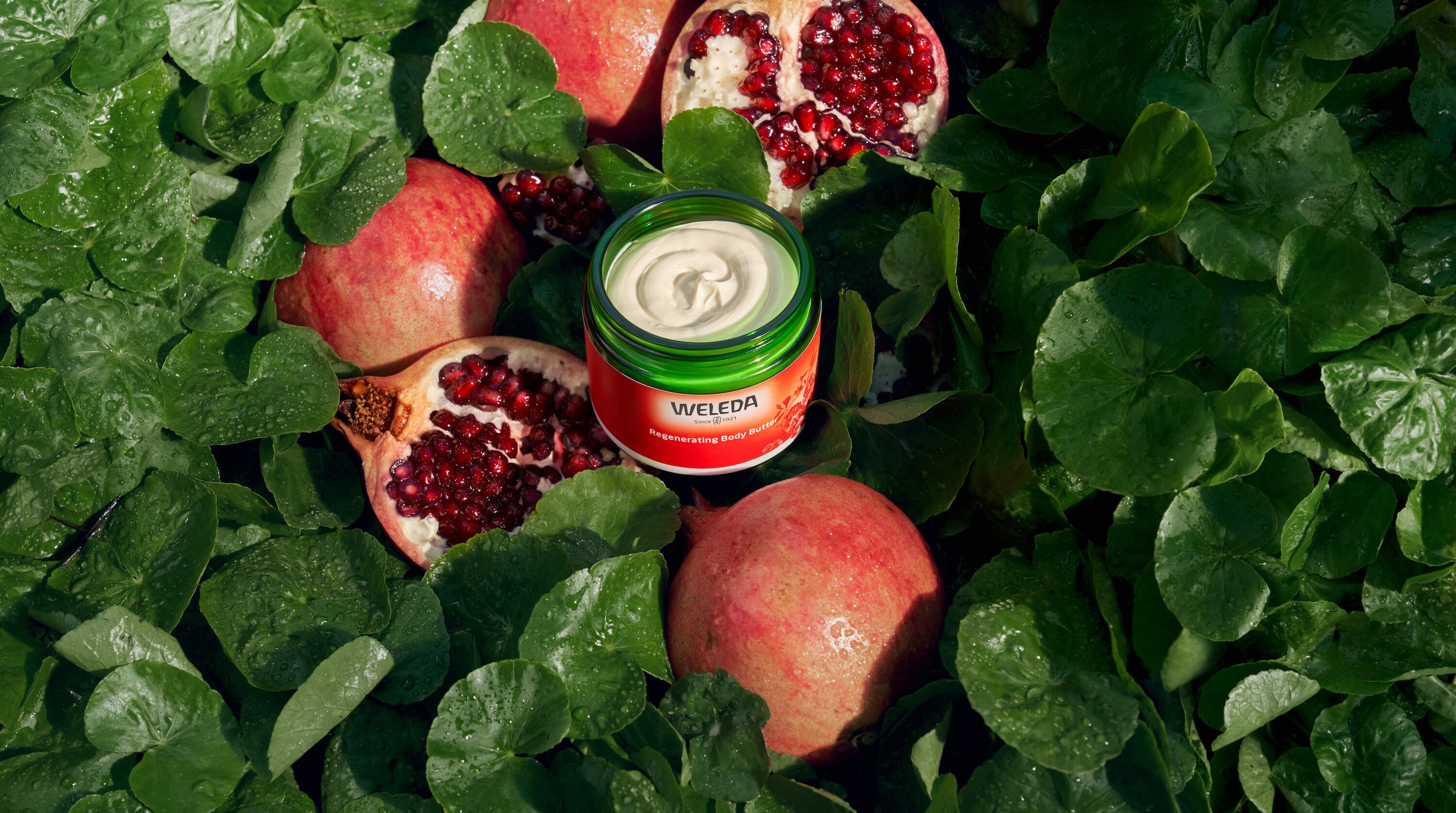 Weleda’s Pomegranate Regenerating Body Butter