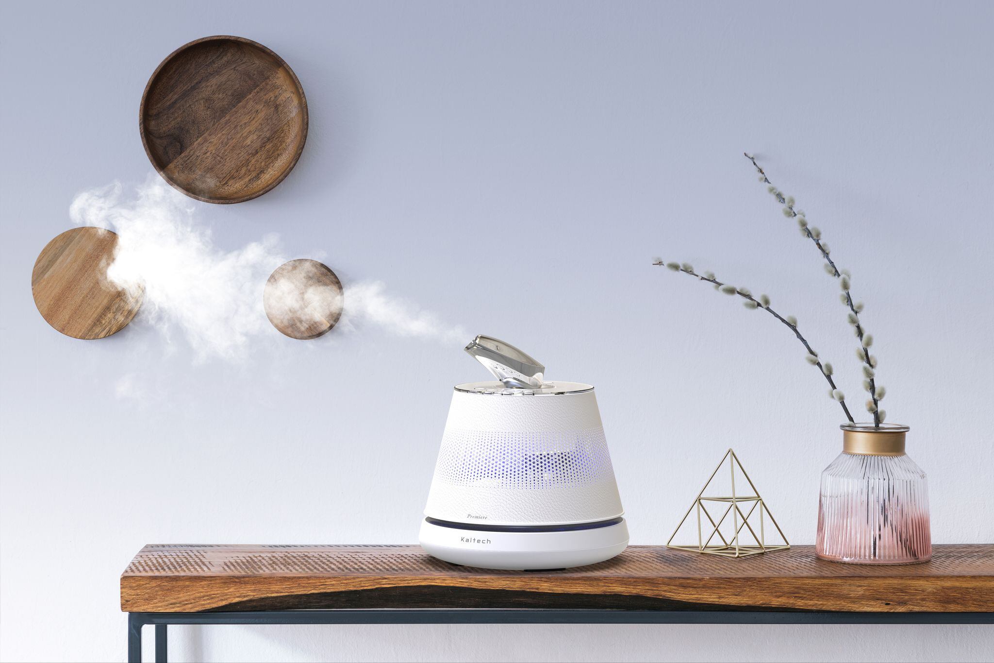 Japanese-manufacturer-launches-beauty-humidifier-to-US-market.jpg