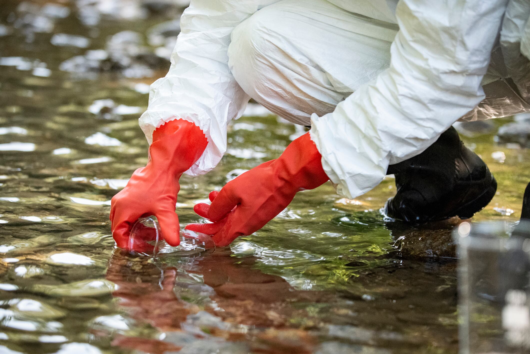 Cosmetics companies must pay to reduce water pollution under new EU rules