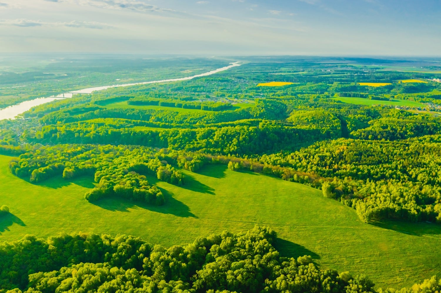 L'Oréal creates fund to help suppliers with sustainability transition 