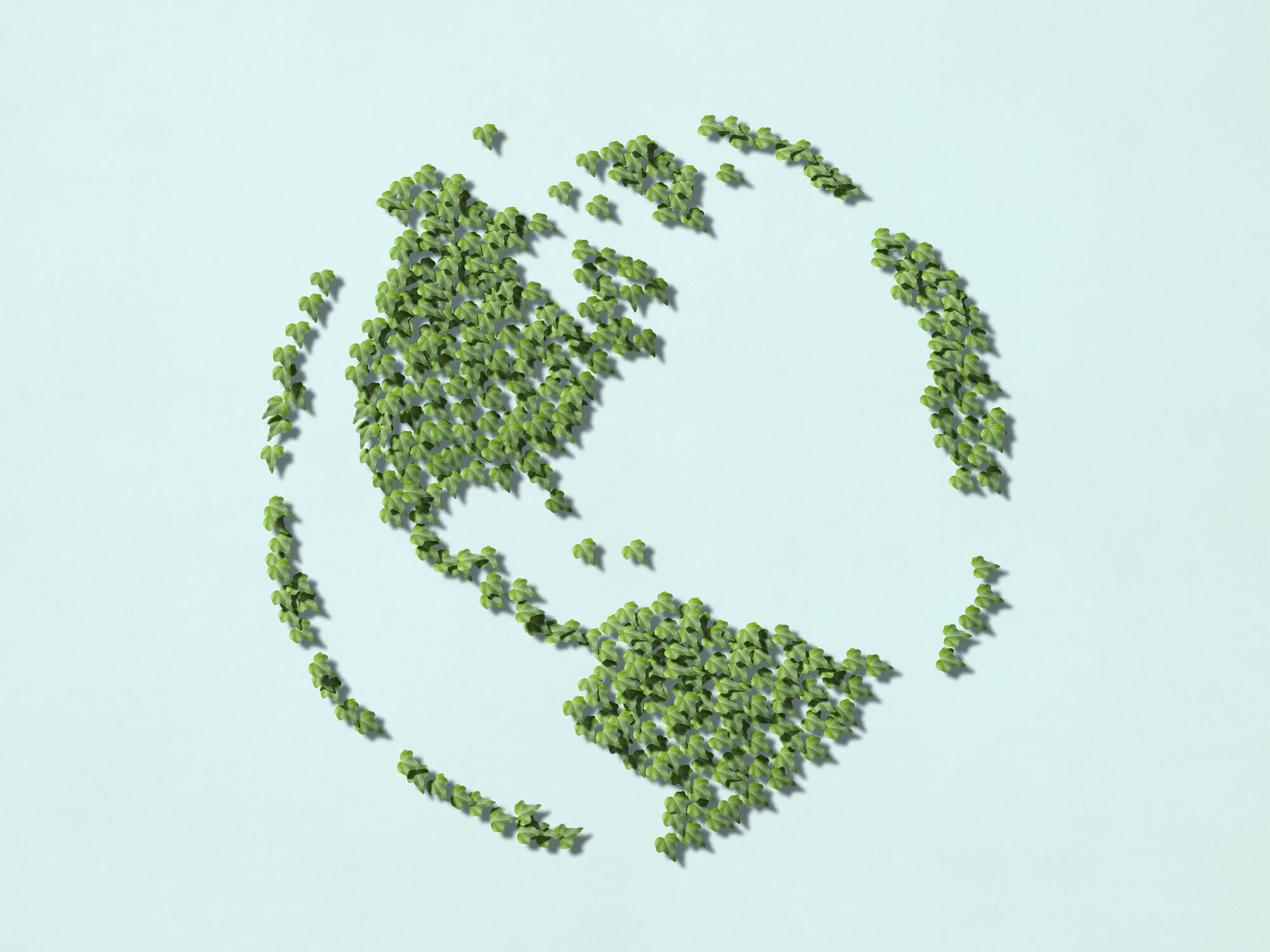Zero-collection-waterless-plant-based-and-plastic-free.jpg
