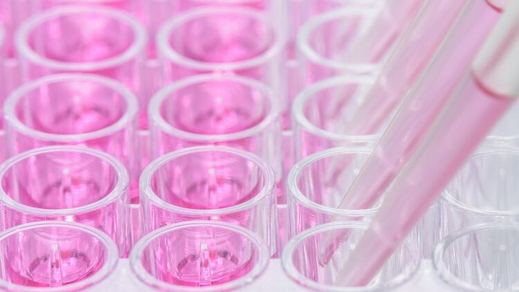 Mary Kay joins Ellen MacArthur Foundation Network, aiming to source materials more sustainably