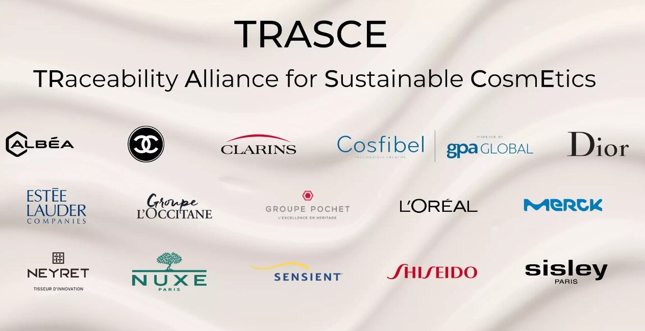 Chanel, Estée Lauder & more form TRASCE alliance for better supply chain traceability