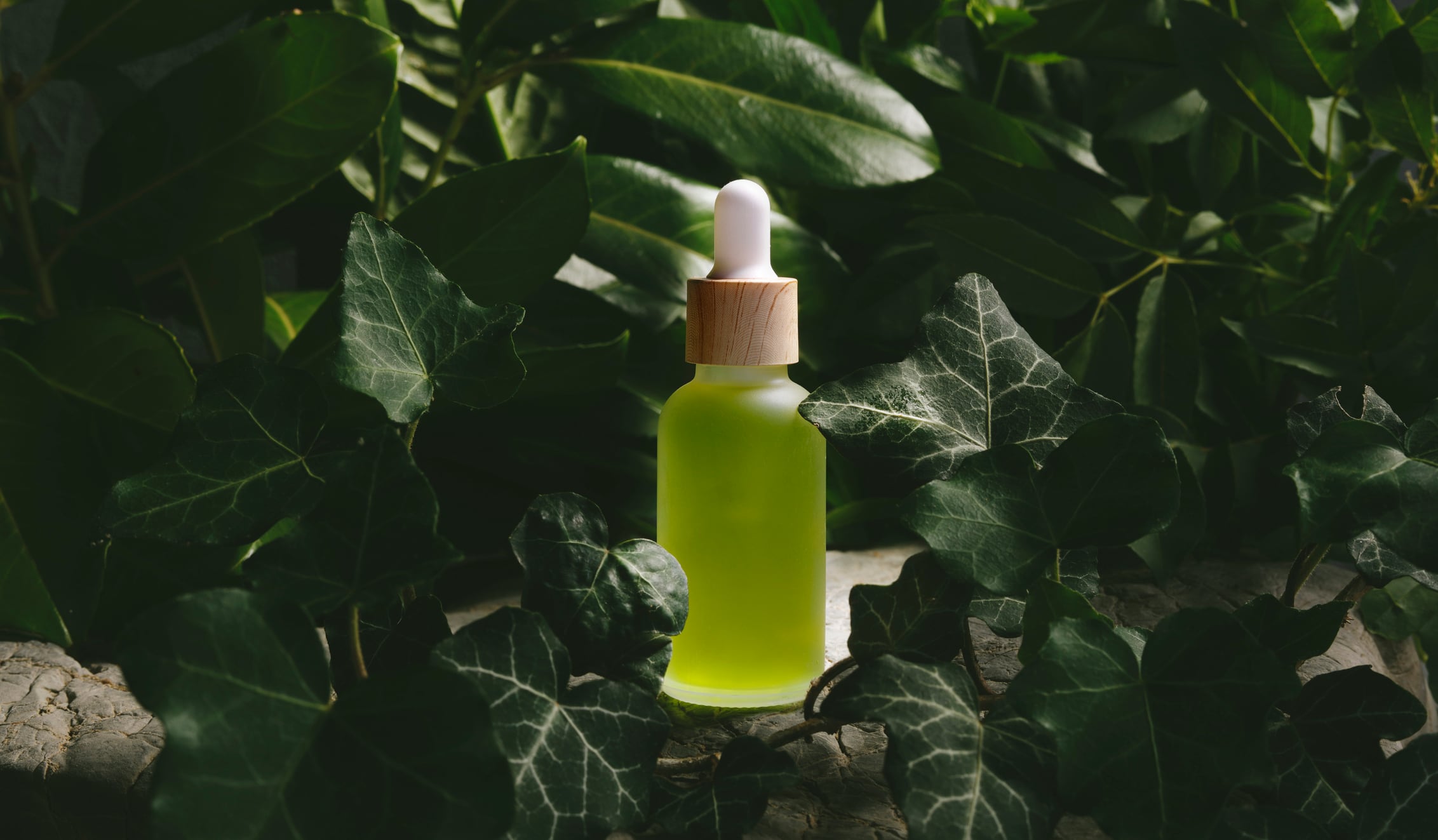 11 sustainable cosmetic packaging innovations at Luxe Pack 2024