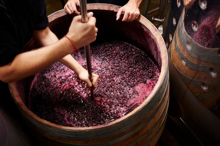 Plunging-the-grapes-cap-to-extract-color.jpg