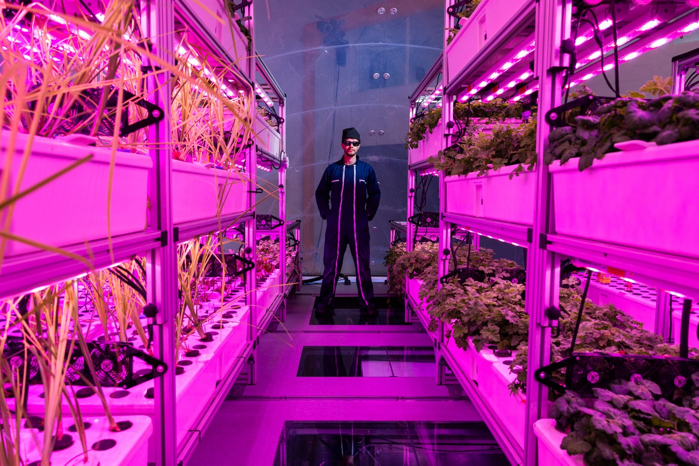 IL_Plant-Scientist-2_credit-Matjaz-Tancic.jpg