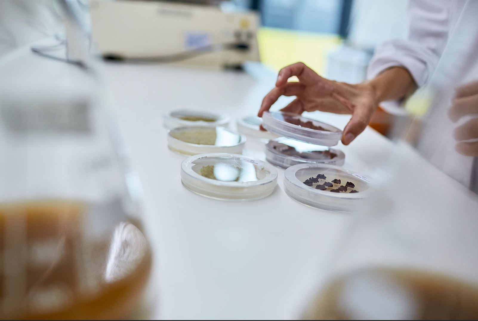 ‘Augmented Naturality’: Robertet partners with Aethera Biotech to “increase the value of the plant world”